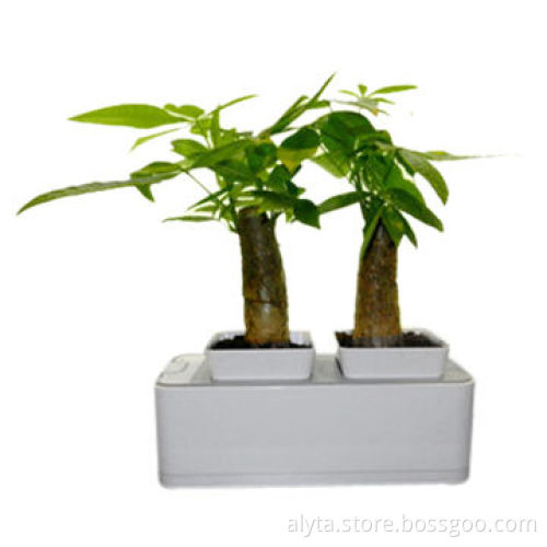 Intelligent Control Technology Garden Wall Planters for Decoration